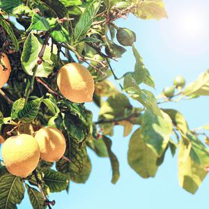 成人午夜福利精品一区二区1280操少妇到高潮
